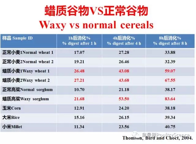 Mingan Choct：重新认识淀粉的质量与能值（新玉米上市）